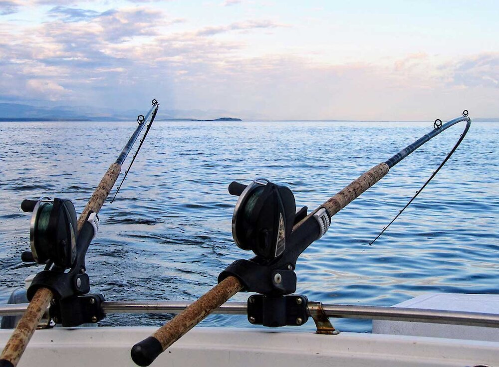 2 fishing rods over a boat with a beautiful ocean backdrop