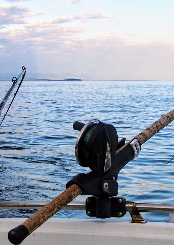 2 fishing rods over a boat with a beautiful ocean backdrop