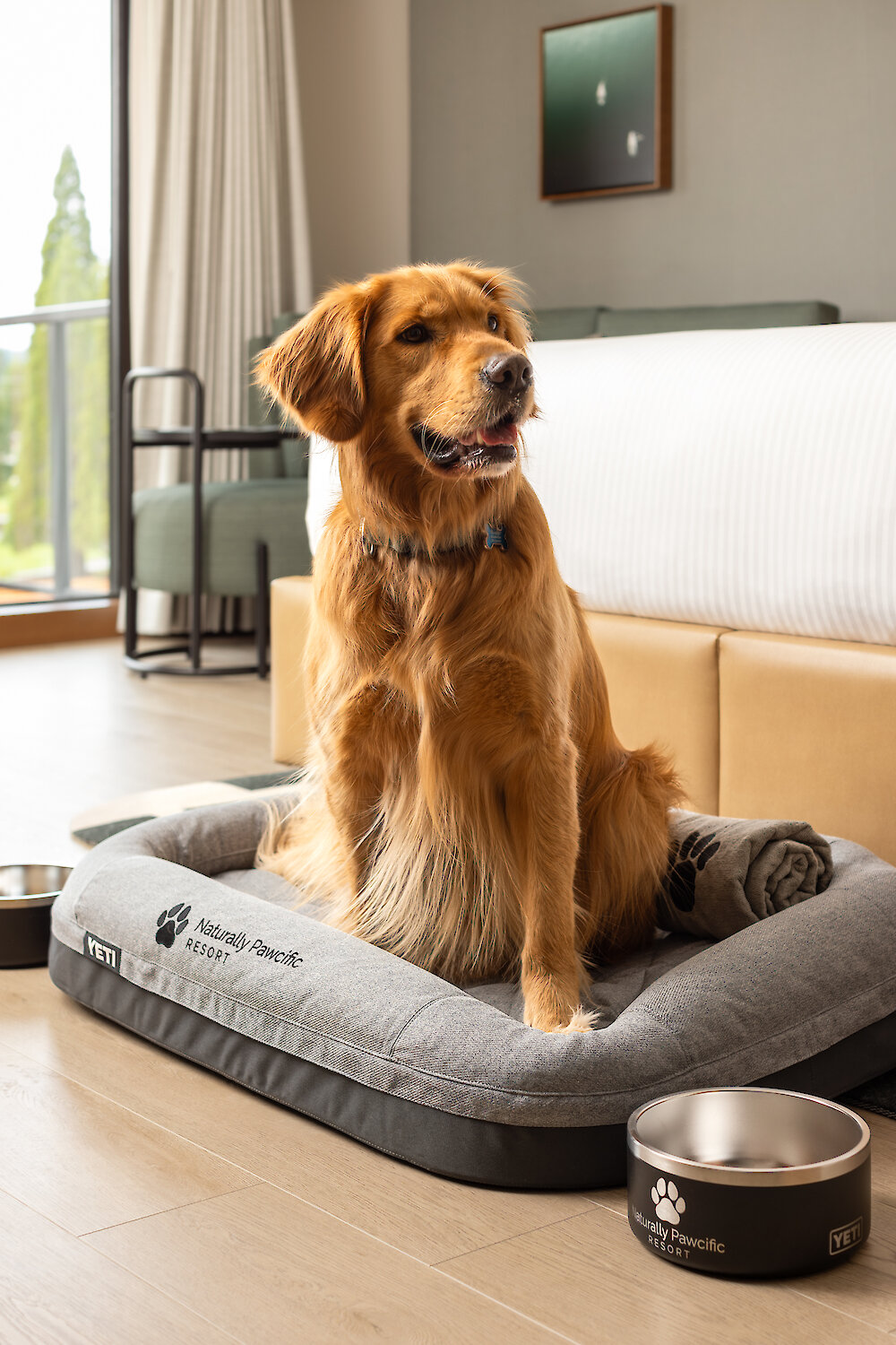 A happy golden retriever sitting on his Naturally Pawcific Dog Bed