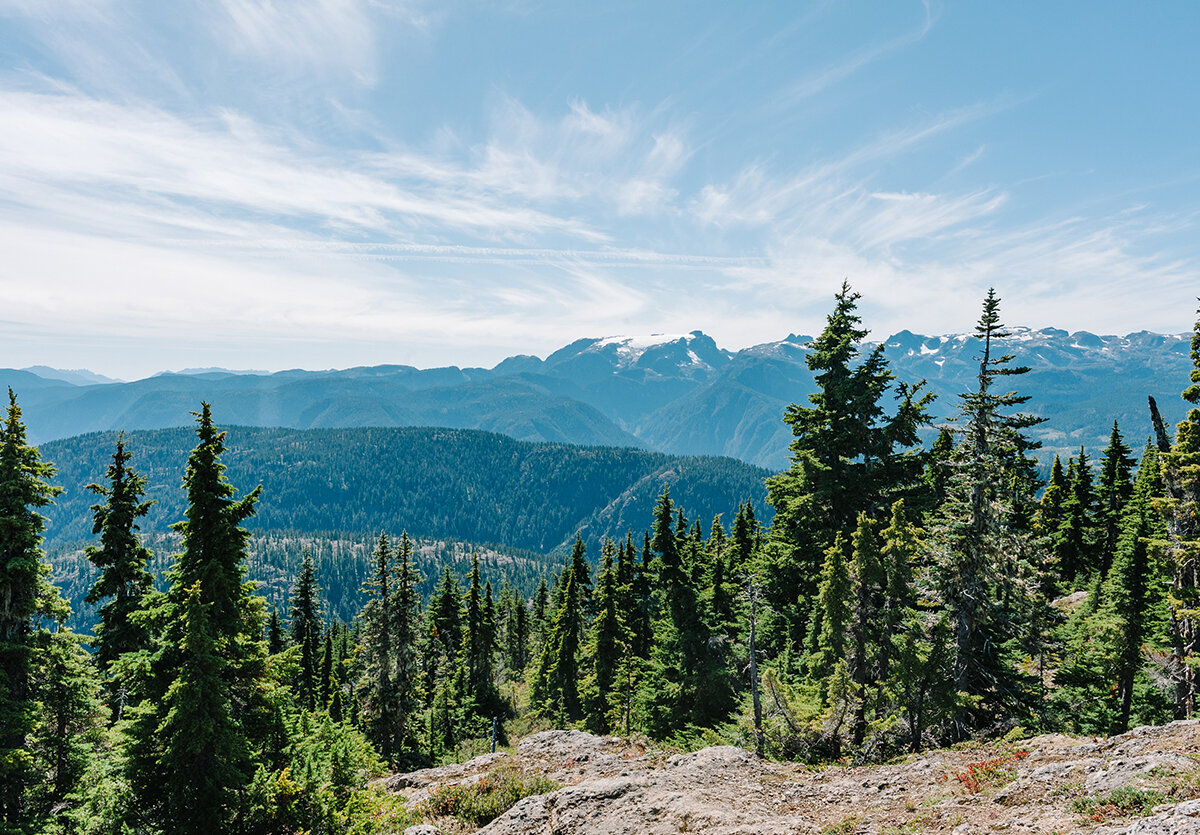 View from the top of Strathcona Provincial Park, overlooking everygreen and the mountains.