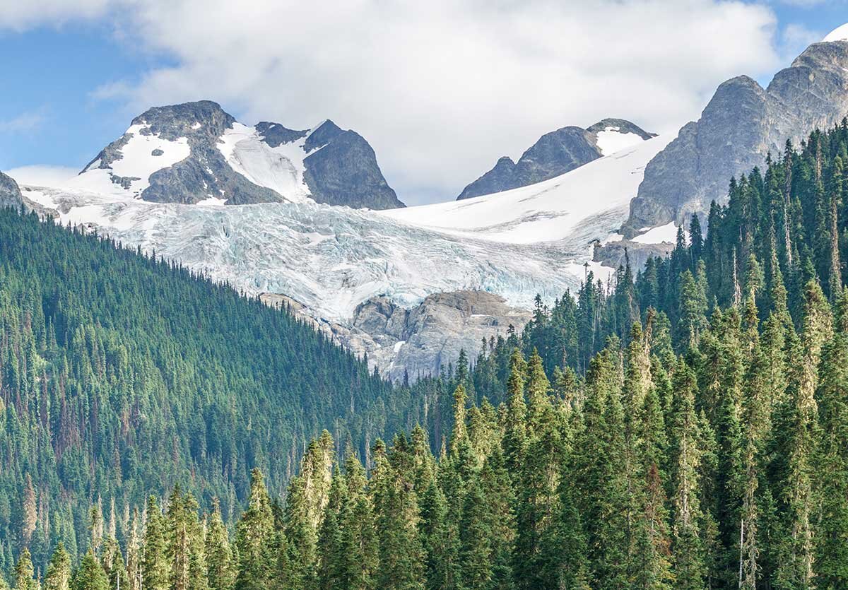 Looing up towards the mountains with snow on them, overlooking hills of evergreen trees.