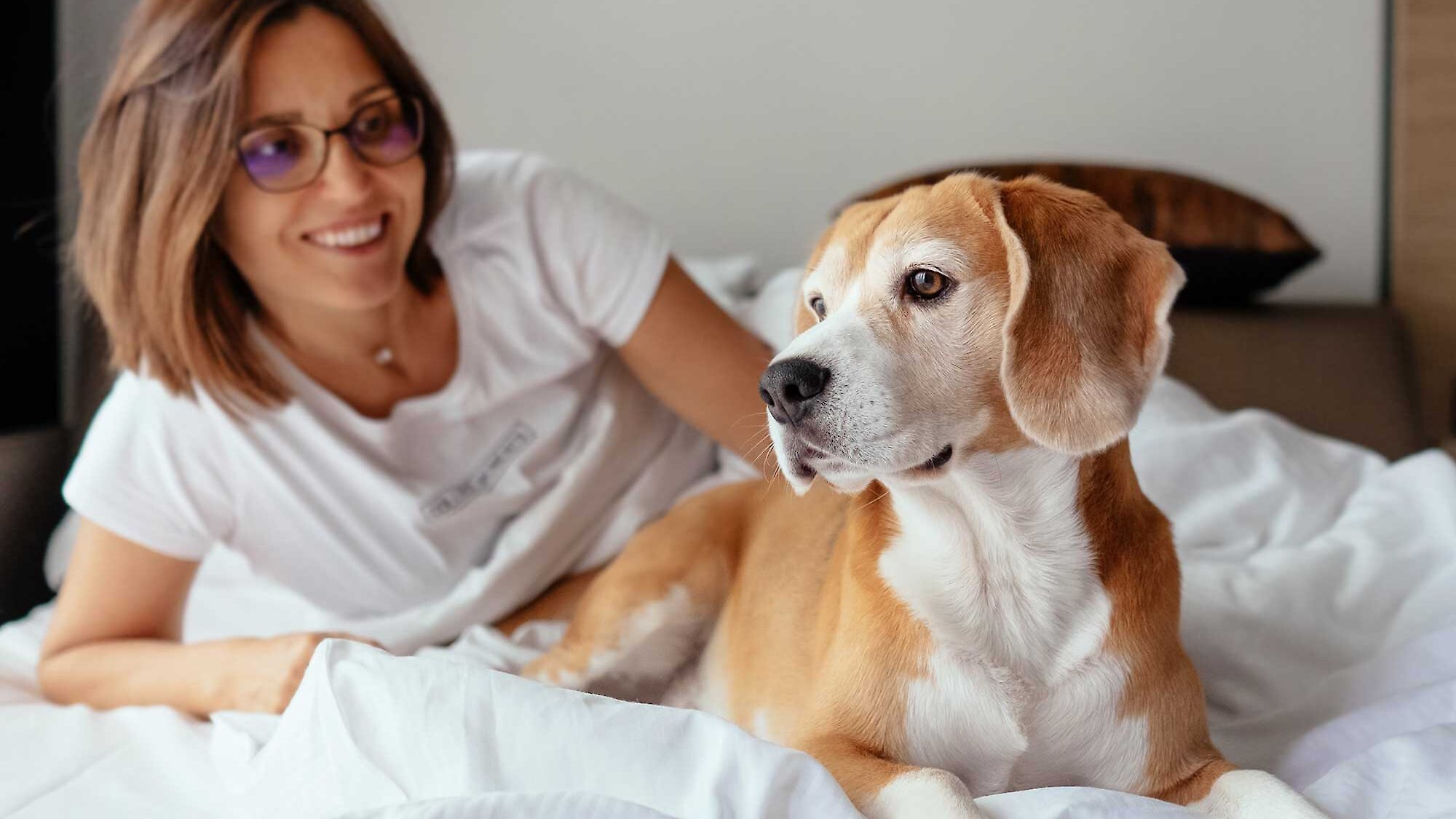 A woman lies on a hotel bed smiling at her orange and white dog