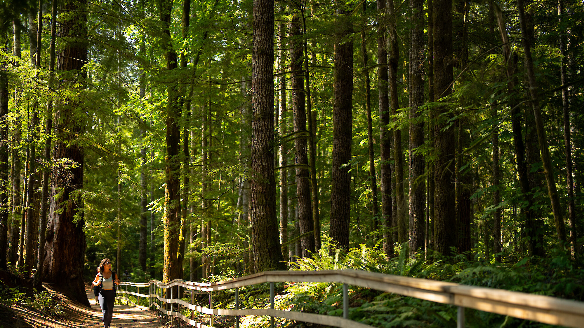 water flowing down a river through beautiful rock formations called potholes