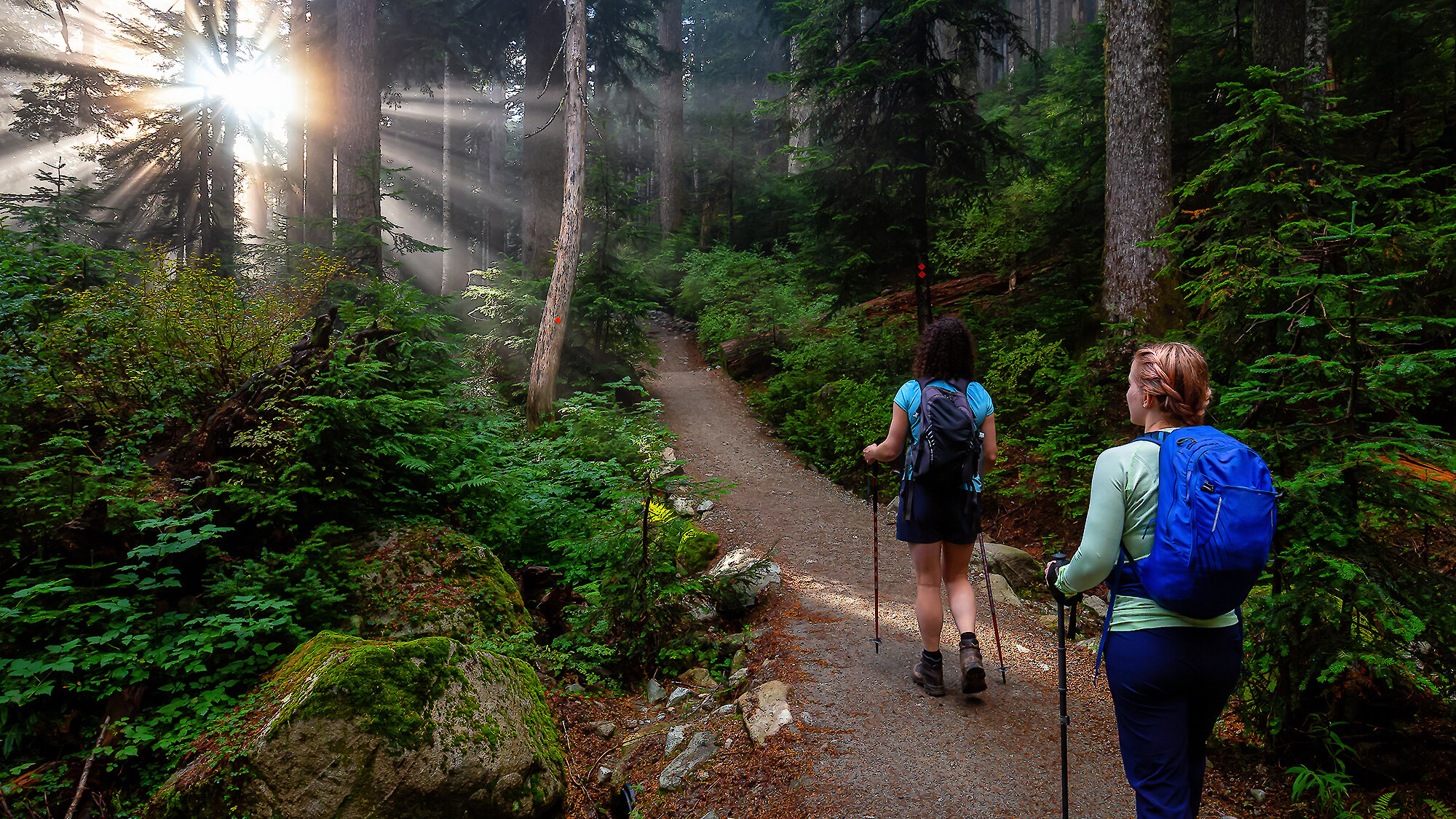 Two women out hiking along the trail using poles to help them navigate as the sun bursts through the trees.